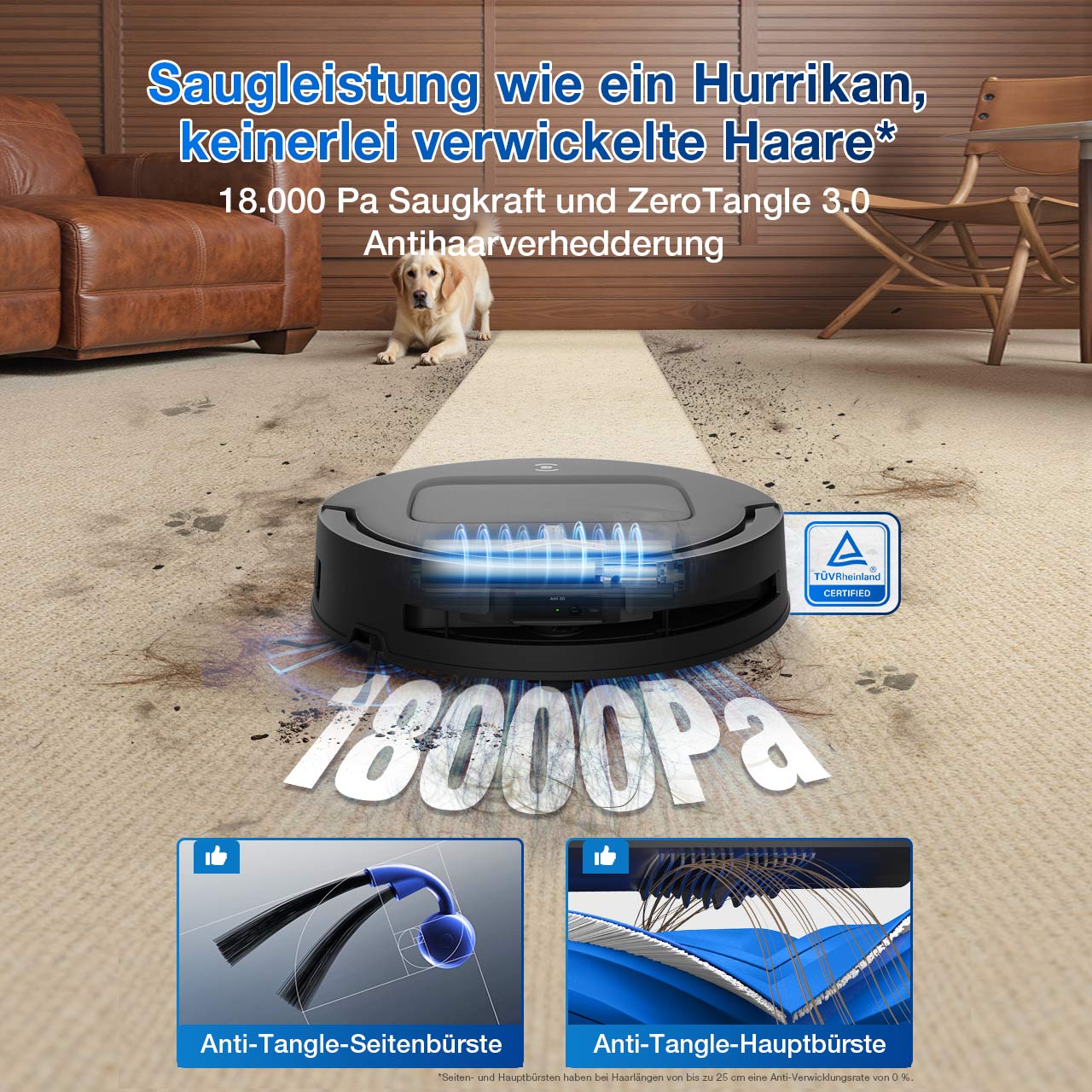 ECOVACS DEEBOT T80 OMNI Black – Unterseite mit Bürsten und Wischwalze