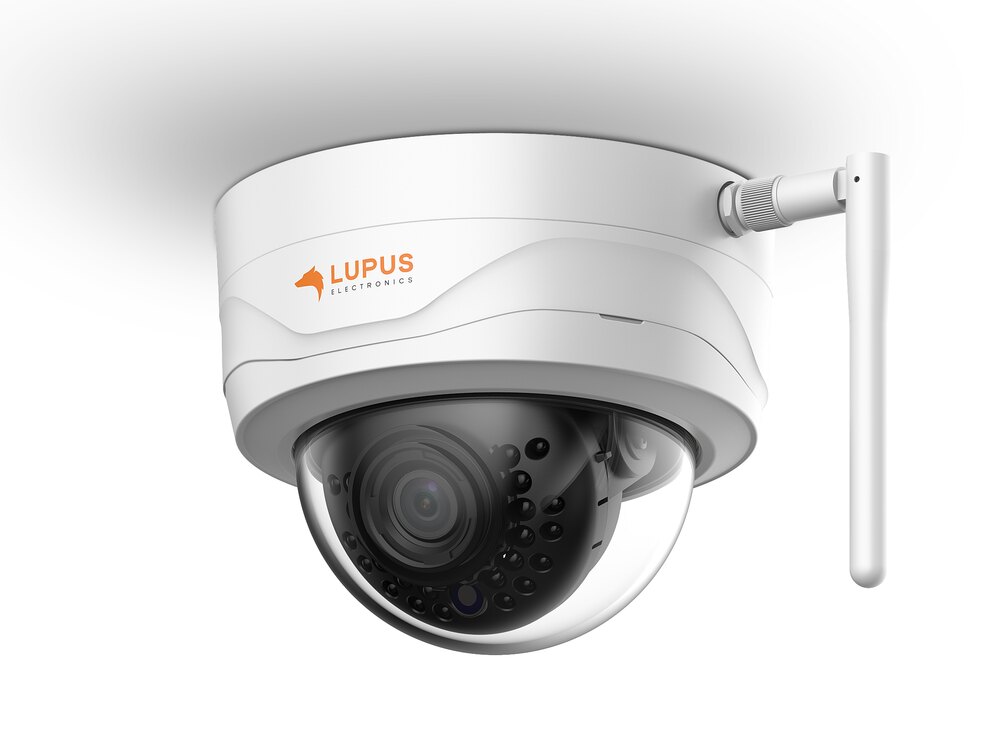 Lupus LE204